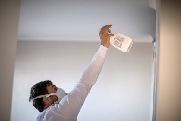 Best Professional Mold Removal  in Vla Grove, IL