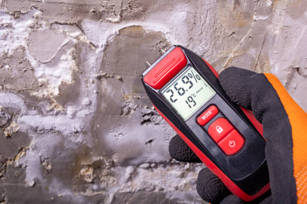 Best Commercial Mold Removal  in Vla Grove, IL